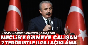 Şentop'dan Meclise girmeye çalışan 2 teröristle ilgili açıklama