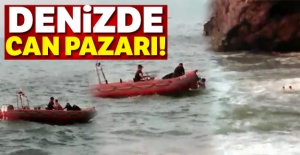 Denizde can pazarı!