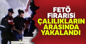 FETÖ firarisi çalılıkların arasında yakalandı