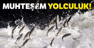 Muhteşem yolculuk!