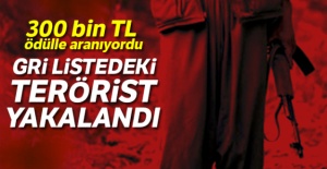 Gri kategoride yer alan terörist yakalandı