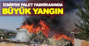 İzmir’de palet fabrikasında büyük yangın!