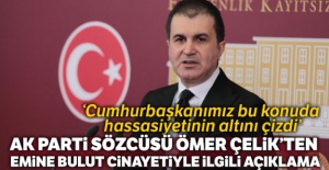 AK Parti Sözcüsü Çelik'ten Emine Bulut cinayeti ile ilgili açıklama