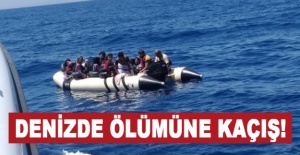 Denizde ölümüne kaçış!