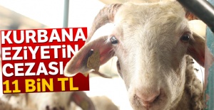 Kurbana eziyetin cezası 800 ile 11 bin lira arası değişiyor