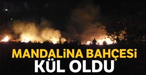Mandalina bahçesi kül oldu