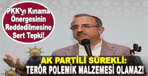 AK Partili Sürekli: Terör, polemik malzemesi olamaz!