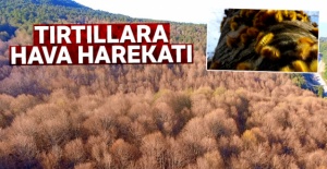 Tırtıllara hava harekâtı