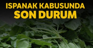 Ispanak kabusunda son durum