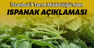 İstanbul İl Tarım Müdürlüğü'nden ıspanak zehirlenmelerine ilişkin açıklama