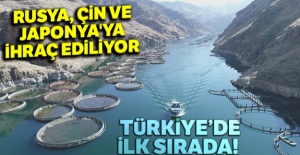 Rusya, Çin ve Japonya'ya ihraç ediliyor