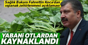Sağlık Bakanı Fahrettin Koca'dan ıspanak zehirlenmesi açıklaması