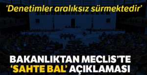 Bakanlıktan Meclis'te