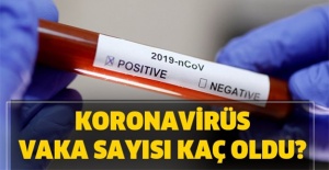 Bakanlık son durumu açıkladı! Türkiye'de can kaybı ve vaka sayısı