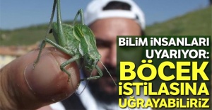 Bilim insanları uyarıyor: ”Böcek istilasına uğrayabiliriz”
