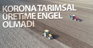 Korona tarımsal üretime engel olmadı